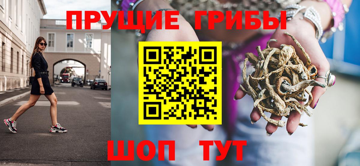 Псилоцибиновые грибы Cubensis Еманжелинск